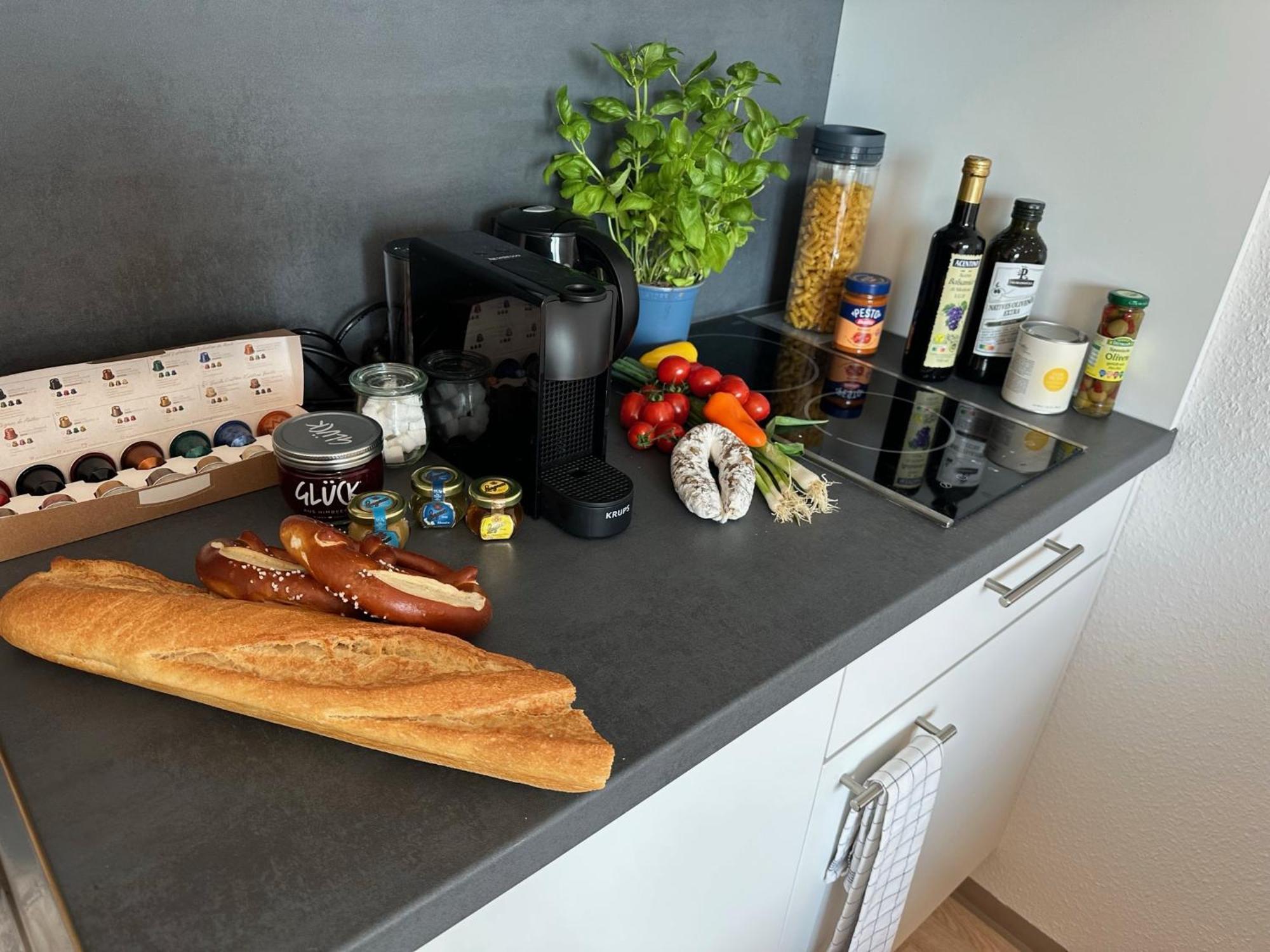 Stilvolles Und Modernes Appartement Mit Sonnigem Balkon In Flughafen- Und Messenaehe 31 Leinfelden-Echterdingen Exteriör bild